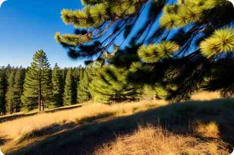 問題一：電腦上的街機游戲怎么設置？