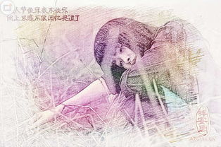 名游戲字大全_名字小游戲_八個字的游戲名