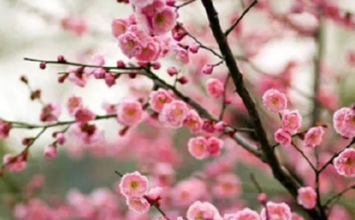 帶軒字的游戲名_帶軒的三個字游戲名_霸氣又帶軒字的游戲名