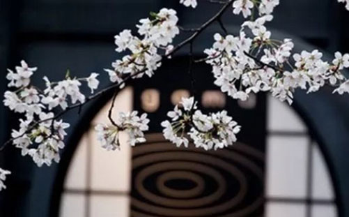 霸氣又帶軒字的游戲名_帶軒字的游戲名_帶軒的三個字游戲名