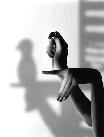 26種簡單又益智的手影游戲！趕緊帶孩子玩起來吧~