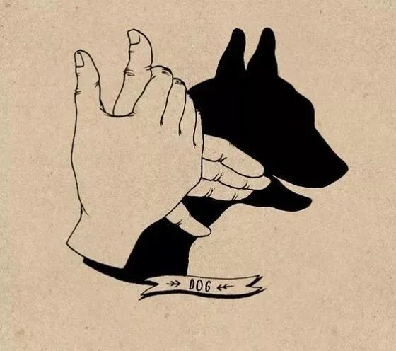 手影游戲的照片或繪畫_怎樣做手影游戲_怎么做手影游戲