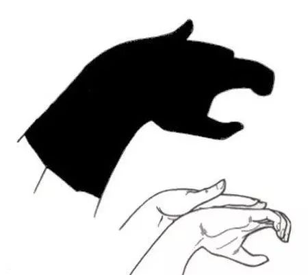 怎樣做手影游戲_怎么做手影游戲_手影游戲的照片或繪畫