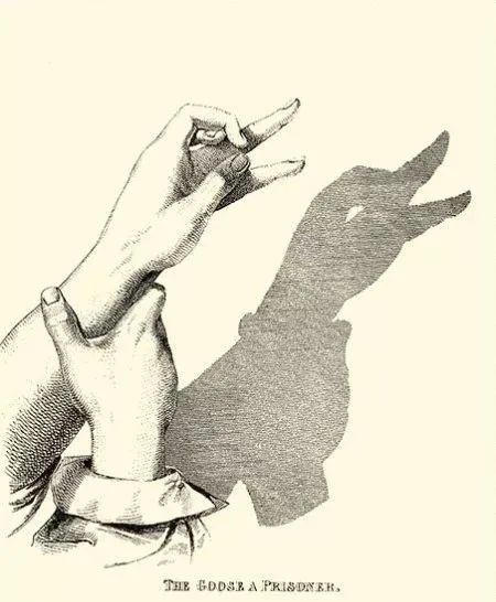 怎么做手影游戲_怎樣做手影游戲_手影游戲的照片或繪畫