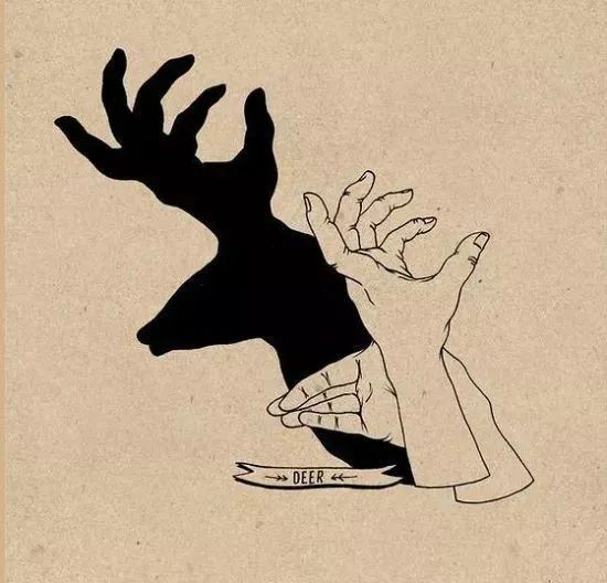 手影游戲的照片或繪畫_怎么做手影游戲_怎樣做手影游戲