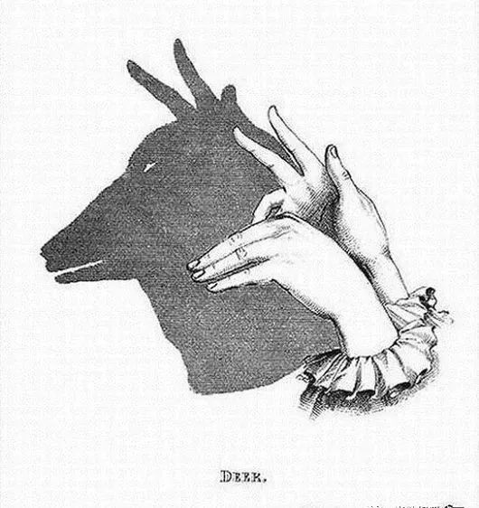 怎樣做手影游戲_怎么做手影游戲_手影游戲的照片或繪畫