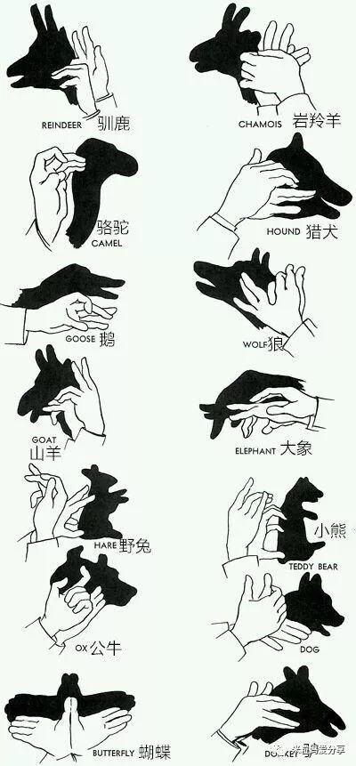 手影游戲的照片或繪畫_怎樣做手影游戲_怎么做手影游戲