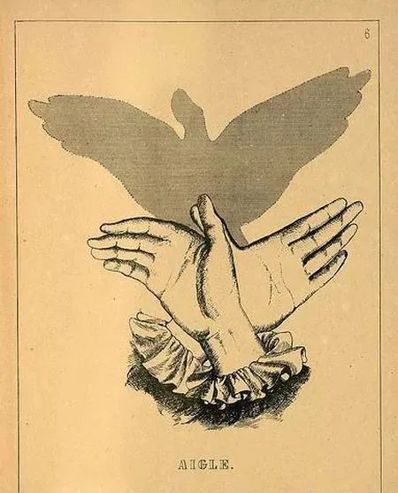 怎么做手影游戲_怎樣做手影游戲_手影游戲的照片或繪畫