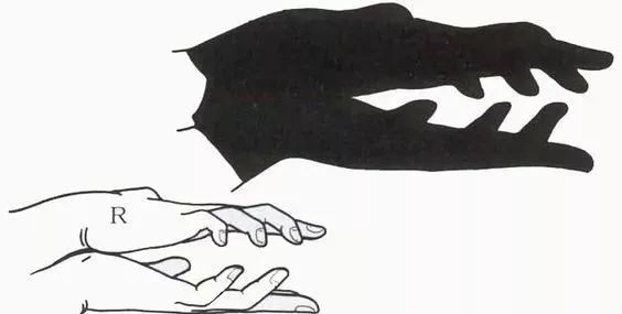 怎樣做手影游戲_怎么做手影游戲_手影游戲的照片或繪畫